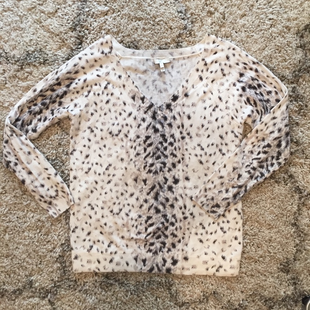 Joíe Animal Print V-neck Light Sweater
